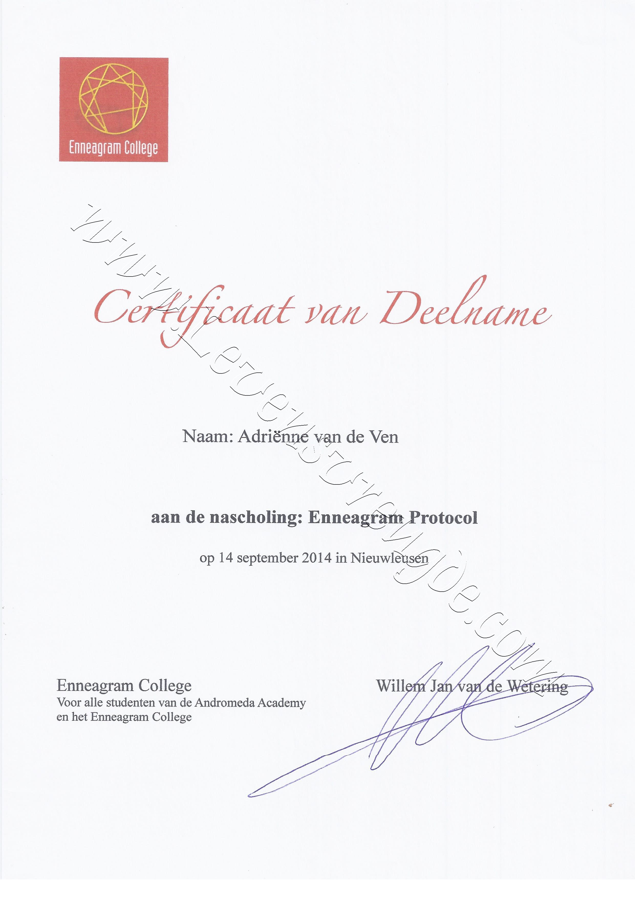 Nascholing Enneagram Protocol